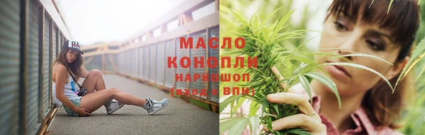 прущие грибы Вязники