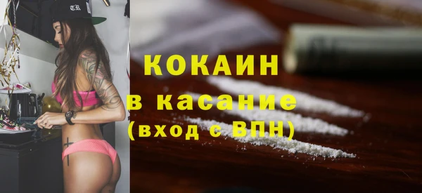 прущие грибы Вязники