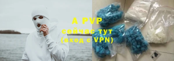 крисы Вяземский