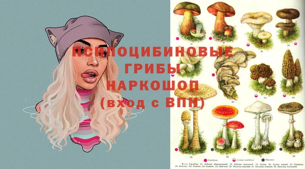 марки nbome Горнозаводск