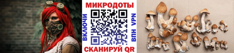 купить наркотик  Грязи  Галлюциногенные грибы Psilocybine cubensis 